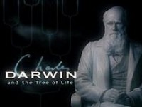 Charles Darwin and the Tree of Life