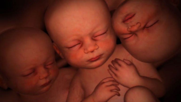 In the Womb – Multiples