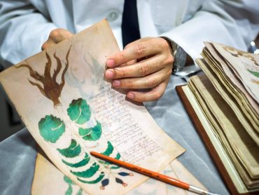 The Voynich Code: The World’s Most Mysterious Manuscript