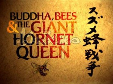 Natural World: Buddha Bees and the Giant Hornet Queen