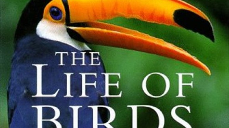The Life of Birds: To Fly or Not to Fly