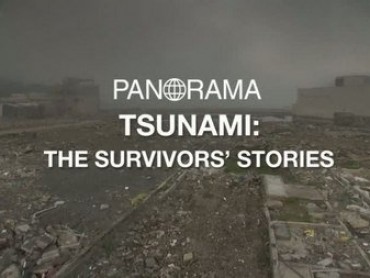 Japan Tsunami: The Survivors Stories