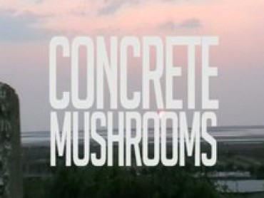 Mushrooms of Concrete