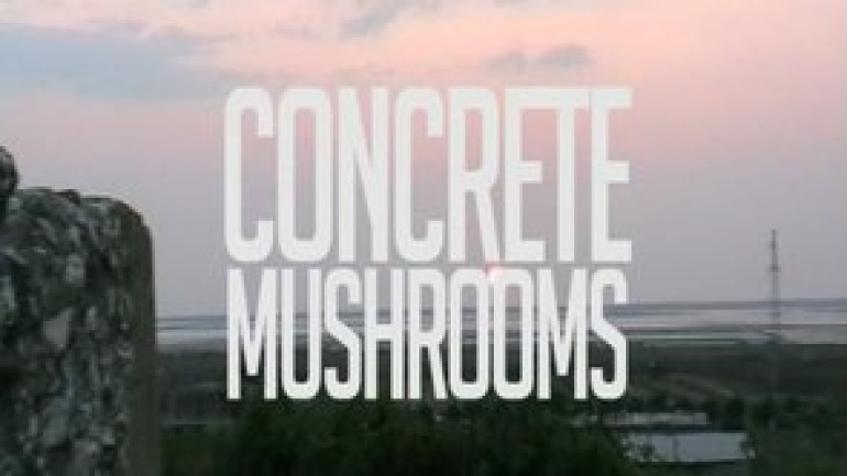 Mushrooms of Concrete