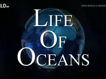 Life of Oceans
