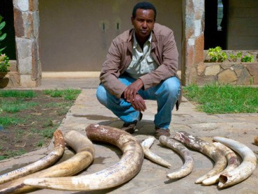 Ivory Wars: Out of Africa