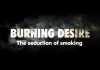Burning Desire The Seduction of Smoking
