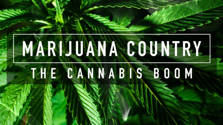 Marijuana Country: The Cannabis Boom