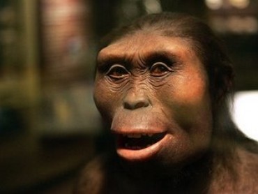 The Ape That Took Over The World