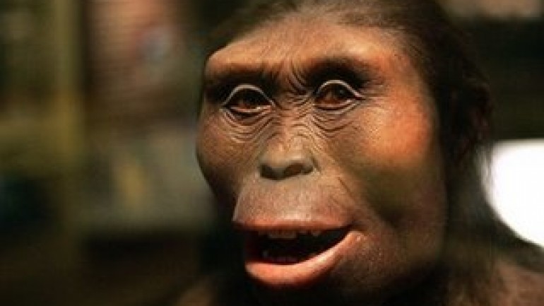 The Ape That Took Over The World
