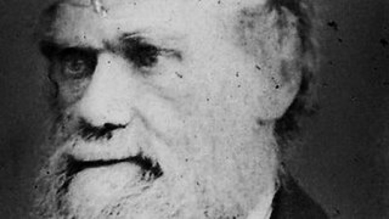 Did Darwin Kill God?