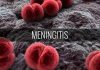 Meningitis: Search For A Cure