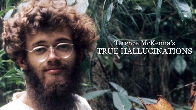Terence McKenna’s True Hallucinations