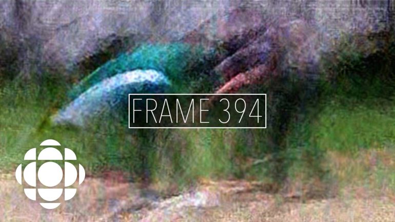 Frame 394