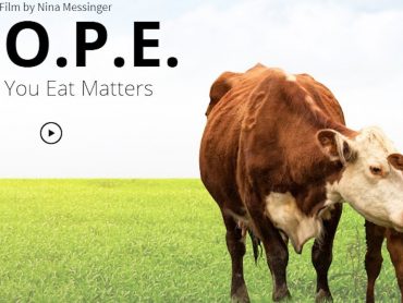 H.O.P.E. What You Eat Matters