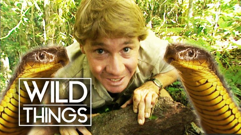 Steve Irwin: The Ten Deadliest Snakes In The World