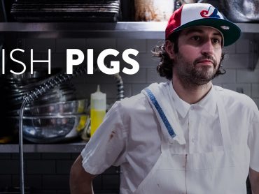 Dish Pigs