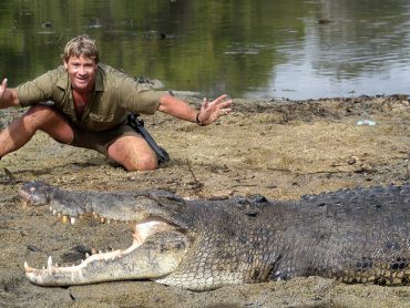 Steve Irwin: Crocs Down Under