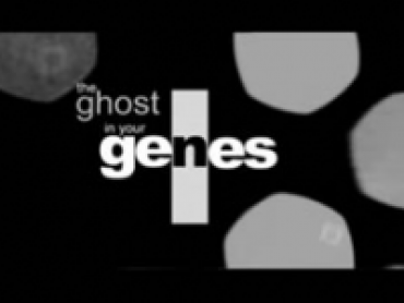 The Ghost in our Genes