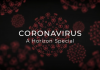 Coronavirus: A Horizon Special