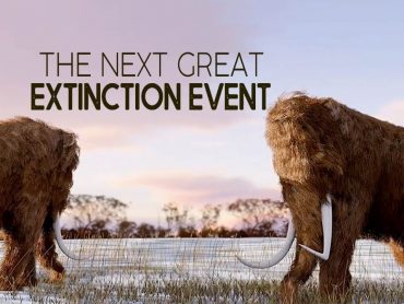 The Next Great Extinction Event