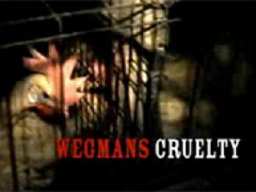 Wegmans Cruelty
