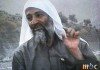 The Bin Laden Conspiracy