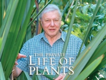 EP 1/6 The Private Life of Plants