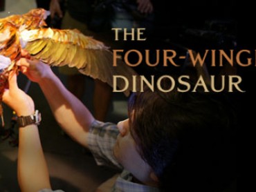 The Four-Winged Dinosaur