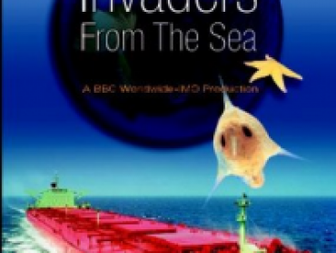 Invaders From the Sea