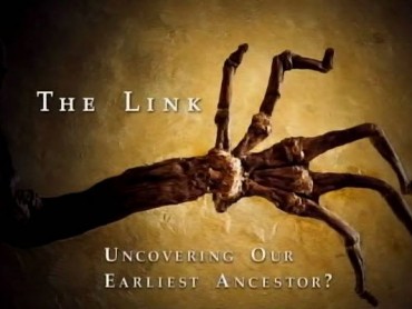 The Link: Uncovering Our Earliest Ancestors