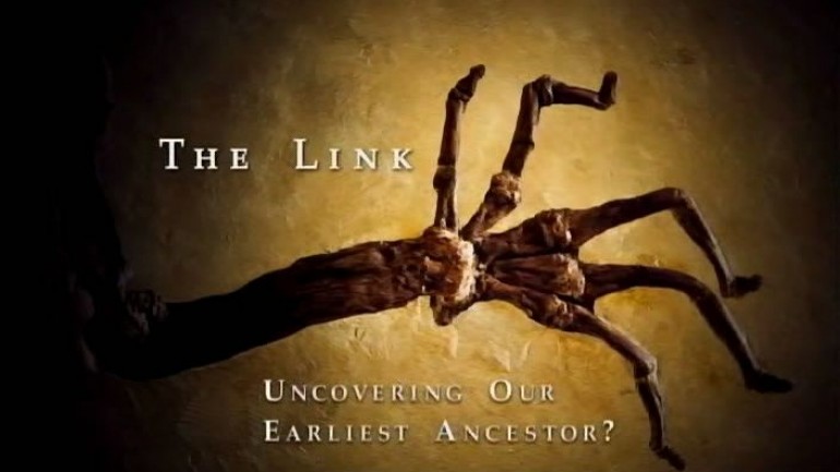 The Link: Uncovering Our Earliest Ancestors