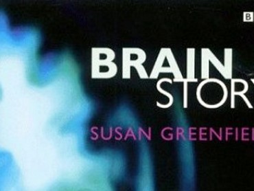 The Brain Story