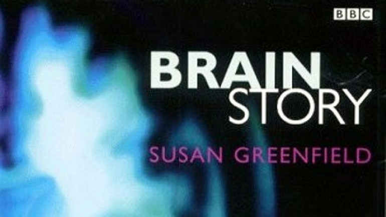 The Brain Story