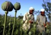 Afghan Heroin: The Lost War