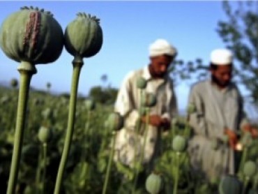 Afghan Heroin: The Lost War