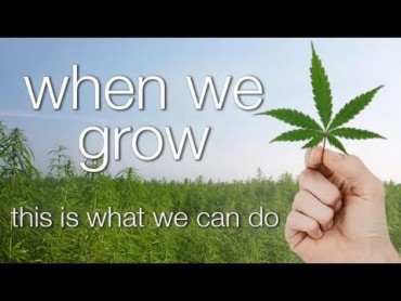 When We Grow, This Is What We Can Do