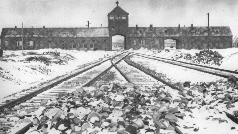 The Auschwitz Albums