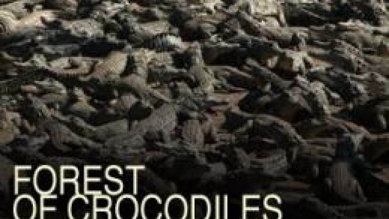 Forest of Crocodiles