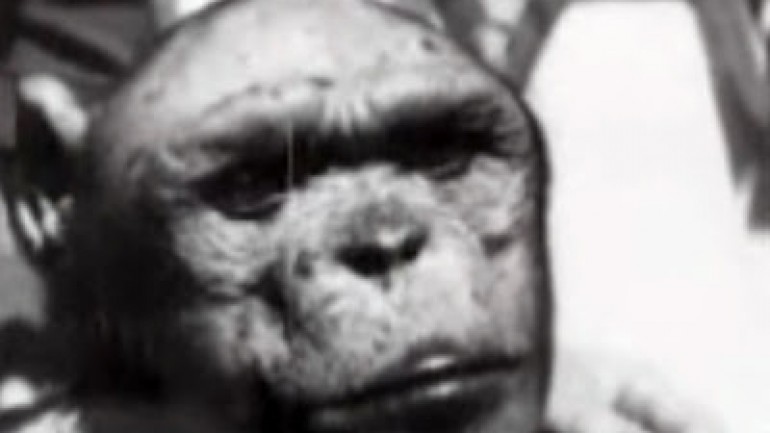 Stalin’s Ape Man