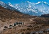 Nepal: in the Mountain’s Shadow