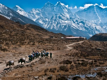 Nepal: in the Mountain’s Shadow