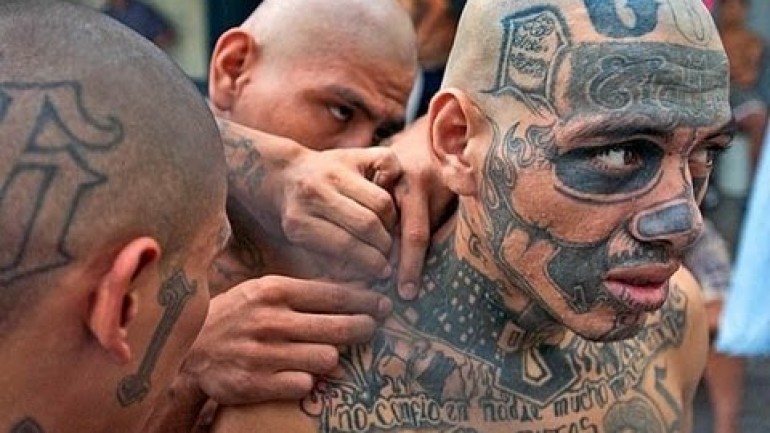 Gangs in Prison