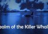 Realm of the Killer Whales