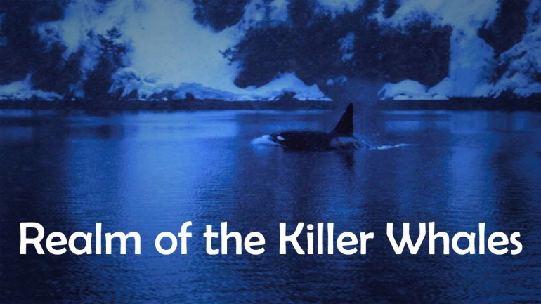 Realm of the Killer Whales