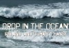 Drop in the Ocean?