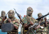 The War Against Boko Haram
